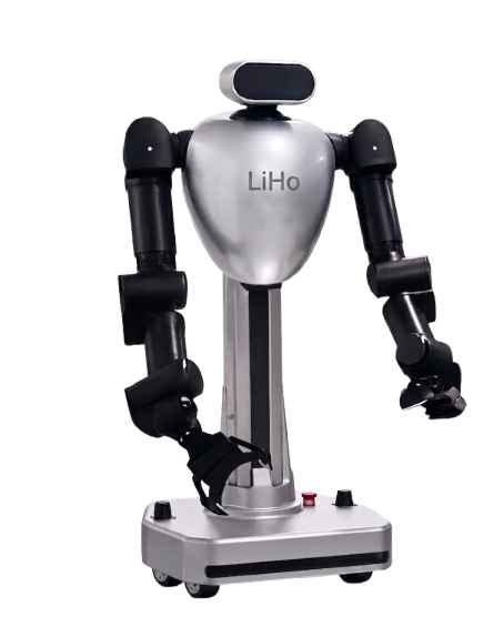 LiHo 003